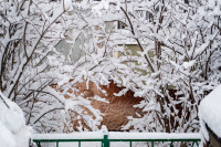 Снегопад в Туле 11 января, Фото: 51
