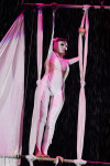 В Тульском цирке прошла премьера аква-шоу, Фото: 51