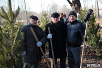 В Рогожинском парке Тулы посадили 75 кедров, Фото: 5