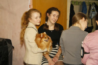 В Туле прошла всероссийская выставка собак, Фото: 48