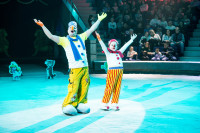 "Чудеса под Новый год" в Тульском цирке, Фото: 9