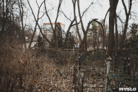 Кладбища Алексина зарастают мусором и деревьями, Фото: 17