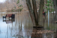 В Туле затопило Баташевский сад, Фото: 20