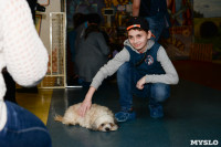 Выставка собак DogLand, Фото: 24