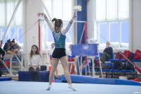 Всероссийские соревнования по спортивной гимнастике, Фото: 69
