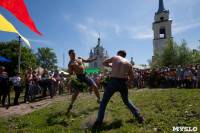 В Тульской области прошел фестиваль крапивы, Фото: 216