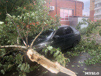 Дерево упало на авто, Фото: 5