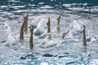 первенство цфо по синхронному плаванию, Фото: 46