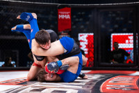 В «Тула-Арене» состоялись областные соревнования по ММА, Фото: 97