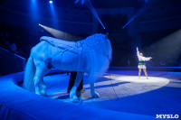 Премьера новогоднего шоу в Тульском цирке, Фото: 54