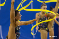 В Туле стартовало первенство Центрального федерального округа по художественной гимнастике, Фото: 38