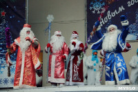 "Битва Дедов Морозов" в Центральном парке, Фото: 19