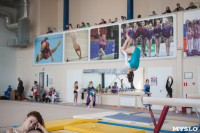 Первенство ЦФО по спортивной гимнастике среди юниорок, Фото: 16