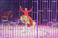 Премьера в Тульском цирке: шоу фонтанов «13 месяцев» удивит вас!, Фото: 40