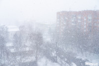 Мартовский снег в Туле, Фото: 91