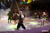 Цирковое шоу Жар птица, Фото: 145