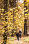 Золотая осень в Ясной Поляне, Фото: 91