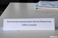 В тульском «Макси» прошел благотворительный фестиваль помощи животным, Фото: 14