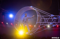 Звезды манежа в цирке, Фото: 208