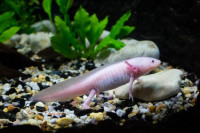 , Фото: 6