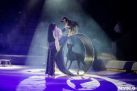 Премьера новогоднего шоу в Тульском цирке, Фото: 83
