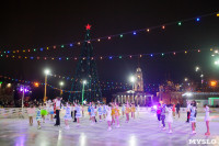 Туляки отметили Старый Новый год ледовым шоу, Фото: 38