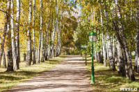 Золотая осень в Ясной Поляне, Фото: 31