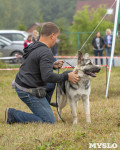 Международная выставка собак, Барсучок. 5.09.2015, Фото: 15