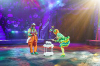 Шоу Гии Эрадзе «5 континентов» в Тульском цирке: феерия уже началась!, Фото: 90
