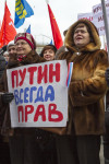 В Туле проходит митинг в поддержку Крыма, Фото: 12