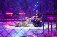 Шоу Гии Эрадзе «5 континентов» в Тульском цирке: феерия уже началась!, Фото: 85