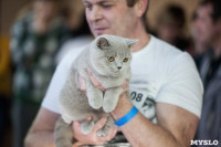 В Туле прошла выставка «Пряничные кошки» , Фото: 50