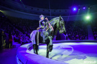 Туляков приглашают на новогоднее представление «Ёлка в цирке», Фото: 74