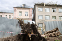 Дерево упало на ул. Софьи Перовской, Фото: 6