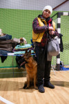 В Туле прошла выставка собак всех пород, Фото: 44