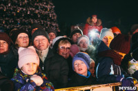 закрытие проекта Тула новогодняя столица России, Фото: 51