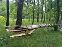 Комсомольский парк после шторма, Фото: 9