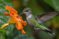 , Фото: 6