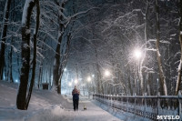 Топ-10 мест в Туле для красивых зимних фото, Фото: 3