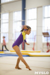 Спортивная гимнастика в Туле 3.12, Фото: 115