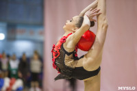 Всероссийский турнир по художественной гимнастике, Фото: 106