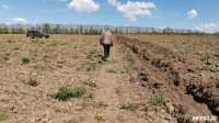 Жители Большой Еловой: «Мы не позволим спустить пруд, чтобы фермер поливал клубнику и малину!» , Фото: 4