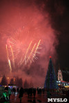 Открытие главной ёлки на площади Ленина, Фото: 52
