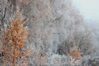 Тульский ноябрь, Фото: 1