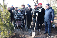 В Рогожинском парке Тулы посадили 75 кедров, Фото: 6