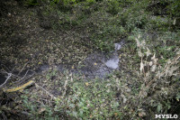 Под Тулой обнаружено зловонное озеро отходов, Фото: 2