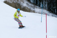 I-й этап Кубка Тулы по горным лыжам и сноуборду., Фото: 17