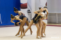 В Туле стартовало первенство Центрального федерального округа по художественной гимнастике, Фото: 30