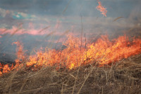 Возгорание сухой травы напротив ТЦ "Метро", 7.04.2014, Фото: 14