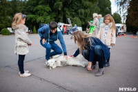 Семейный фестиваль «Школодром-2022» в Центральном парке Тулы: большой фоторепортаж и видео, Фото: 435